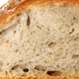 No-Knead Artisan Style Bread