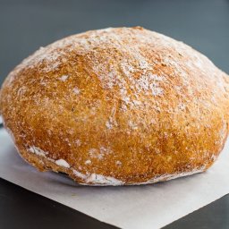 No Knead Dutch Oven Whole Wheat Bread