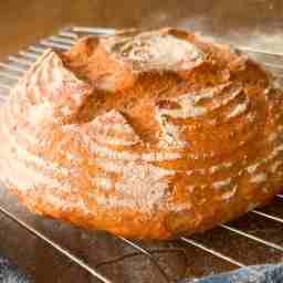 No-Knead Gluten-Free Bread With Psyllium Husk