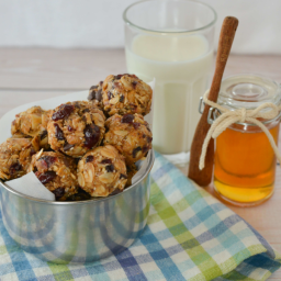 oat-and-honey-bites-2183616.png