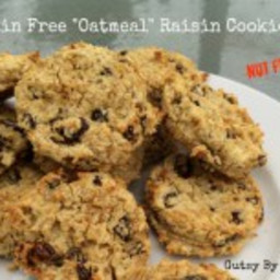 oatmeal-raisin-cookies-grain-free-dairy-free-nut-free-2088303.jpg