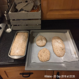 odlums-wholemeal-yeast-bread-e480cb68c08027b0aedf76e9.jpg