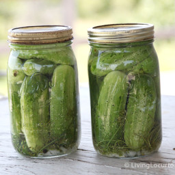Old Fashion Refrigerator Dill Pickles