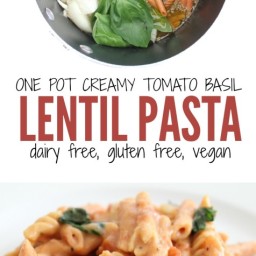 One Pot Creamy Tomato Basil Lentil Pasta