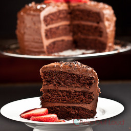 One Bowl Chocolate Cake (Vegan - cake part only)