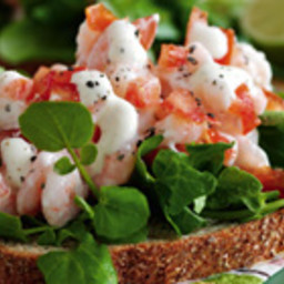 Open-faced sandwiches with shrimp, tomato, and lime mayonnaise