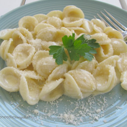 orecchiette-with-creamy-alfredo-sauce-1704020.jpg