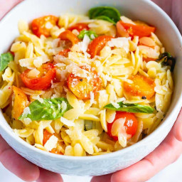 Orzo Pasta with Tomatoes, Basil and Parmesan