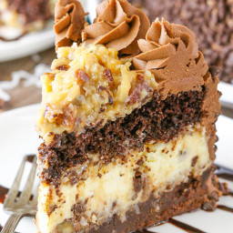 Outrageous Chocolate Coconut Cheesecake Cake