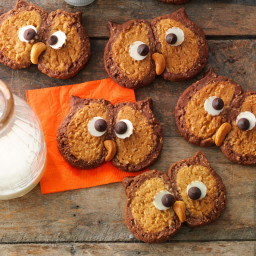 Owl Cookies Recipe