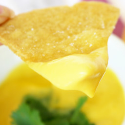 Paleo and AIP Queso (And top-8 allergen free!)