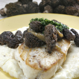 Pan-roasted halibut with grits, morels and spring onions Recipe