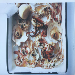 Pan-roasted Shellfish