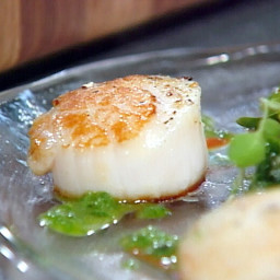 Pan-Seared Diver's Scallops with Roasted Red Pepper Paint and Basil Oil