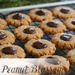 Peanut Blossoms - Low Carb and Gluten-Free