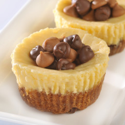 Peanut Butter and Chocolate Chip Cheesecake Cookie Cups