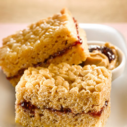 Peanut Butter and Jam Buddy Squares