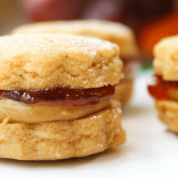 Peanut Butter and Jelly Mini Cookie Sandwiches