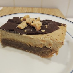 peanut-butter-cheesecake-bars-21.jpg