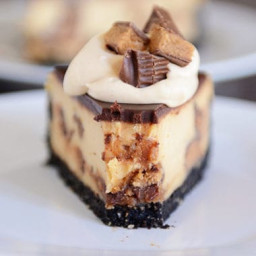 Peanut Butter Cup Cheesecake with Chocolate Cookie Crust