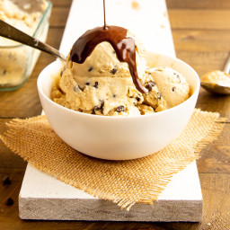 Peanut Butter Cup Dairy-free Ice Cream