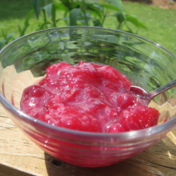 pear-honey-cranberry-sauce-1356204.jpg