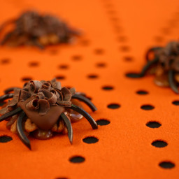 Pecan-Caramel Spiders