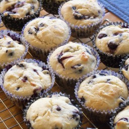 Peggy's Blueberry Muffins - Made with Sour Cream