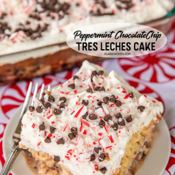 Peppermint Chocolate Chip Tres Leches Cake