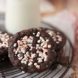Peppermint Chocolate Chipsters