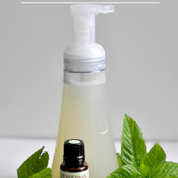 peppermint-foaming-hand-soap-diy-2150240.png