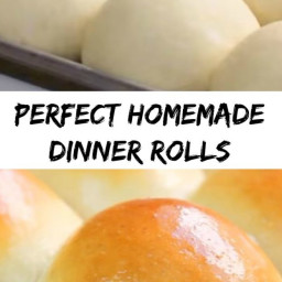Perfect Homemade Dinner Rolls