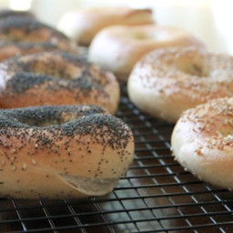 Peter Reinhart’s New York Style Bagels with Wild Sourdough