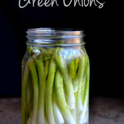 Pickled Green Onions Recipe