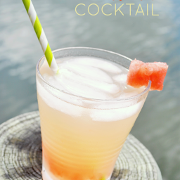 Pineapple Watermelon Cocktail