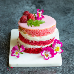 Pink Ombre Rhubarb Mini Cakes
