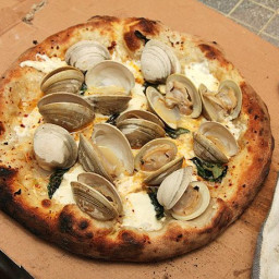 Pizza with Fresh Clams, Garlic, Mozzarella, Romano, and Basil Recipe