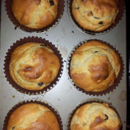 Plain or Fruit Muffins