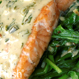 poached-salmon-with-fresh-herbed-mayonnaise-1524082.png
