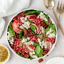 Pomegranate Spinach Salad with Apples & Goat Cheese