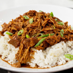 Pork and Chicken Adobo with Rice