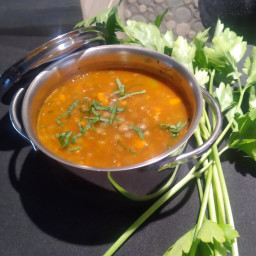 PPG lentil soup