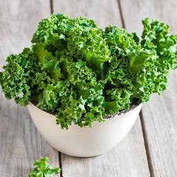  quinoa and kale salad 