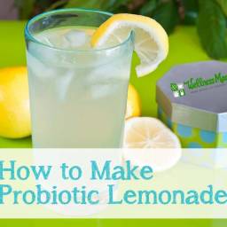 Probiotic Lemonade