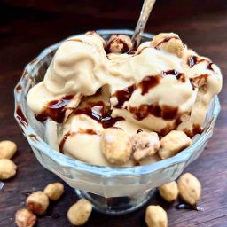 Protein Ninja Creami Peanut Butter Ice Cream Recipe
