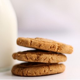 protein-peanut-butter-cookies-64000c.jpg