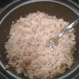 Protein Rice