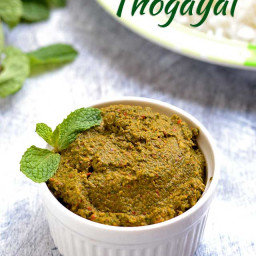 Pudina Thogayal Recipe | Mint Thogayal