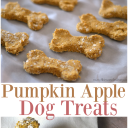 Pumpkin Apple Dog Treats
