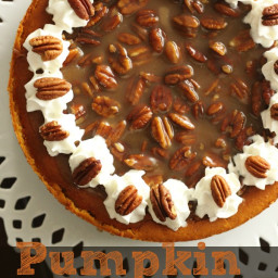 Pumpkin Cheesecake with Praline Pecan